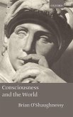 Consciousness and the World
