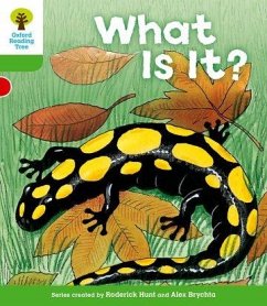 Oxford Reading Tree: Level 2: More Patterned Stories A: What Is It? - Hunt, Roderick