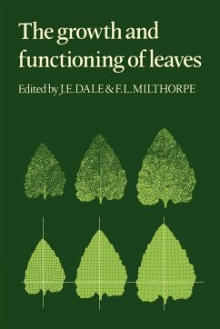 The Growth and Functioning of Leaves