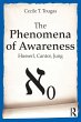 The Phenomena of Awareness - Bild 1