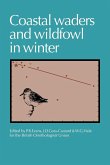 Coastal Waders and Wildfowl in Winter