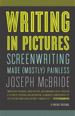 Writing in Pictures - McBride, Joseph