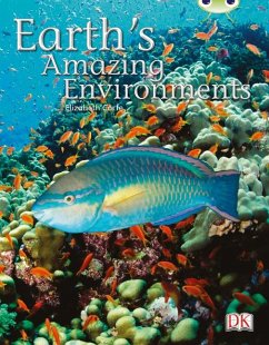 Cover Bug Club Independent Non-Fiction Year Two White A - Earth's Amazing Environments