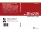 Regulation of ribosome biogenesis and RNA polymerase I transcription