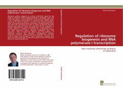 Regulation of ribosome biogenesis and RNA polymerase I transcription - Steinbauer, Robert