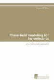 Phase-field modeling for ferroelectrics