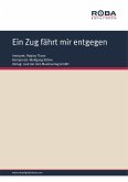 Ein Zug fährt mir entgegen (eBook, PDF)