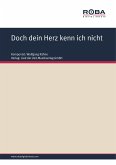 Doch dein Herz kenn ich nicht (eBook, PDF)