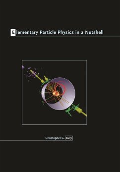 Elementary Particle Physics in a Nutshell - Tully, Christopher G.
