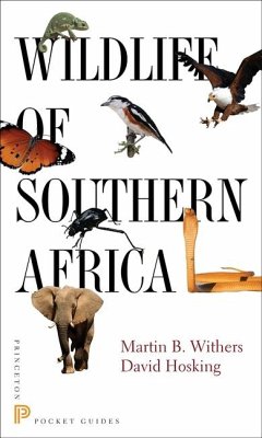 Wildlife of Southern Africa - Withers, Martin B; Hosking, David