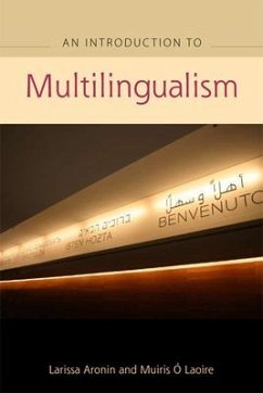An Advanced Guide to Multilingualism - Aronin, Larissa