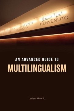 Cover An Advanced Guide to Multilingualism