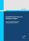 Projektfinanzierung von Biogasanlagen: Analyse und Begrenzung der bankspezifischen Risiken