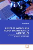 EFFECT OF SMOOTH AND ROUGH STRAIN BRUCELLA ABORTUS LPS