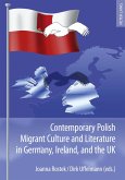 Contemporary Polish Migrant Culture and Literature in Germany, Ireland, and the UK