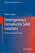 Heterogeneous Ferroelectric Solid... - Bild 1