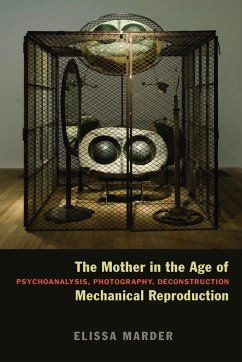 The Mother in the Age of Mechanical Reproduction - Marder, Elissa