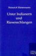 Unter Indianern und Riesenschlangen - Bild 1