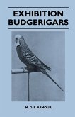 Exhibition Budgerigars