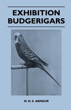 Exhibition Budgerigars - Armour, M. D. S.