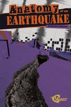 Anatomy of an Earthquake - Rebman, Renée C