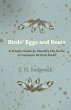 Birds' Eggs and Nests - A Simple Guide... - Bild 1