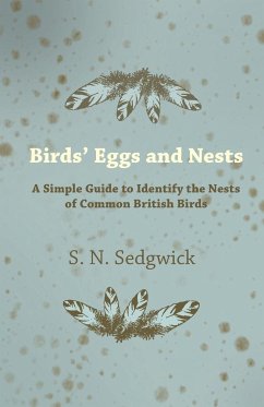 Birds' Eggs and Nests - A Simple Guide to Identify the Nests of Common British Birds - Sedgwick, S. N.