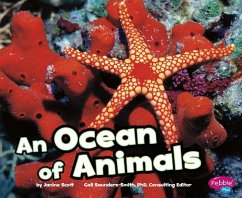 An Ocean of Animals - Scott, Janine