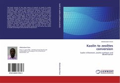 Kaolin to zeolites conversion