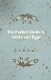 The Pocket Guide to Nests and Eggs