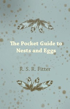 The Pocket Guide to Nests and Eggs - Fitter, R. S. R.