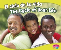 El Ciclo de Tu Vida/The Cycle of Your Life - Weber, Rebecca