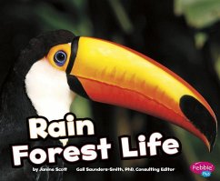 Rain Forest Life - Scott, Janine