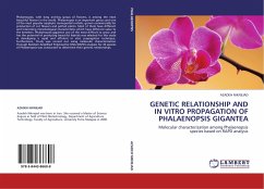 GENETIC RELATIONSHIP AND IN VITRO PROPAGATION OF PHALAENOPSIS GIGANTEA