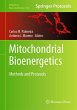 Mitochondrial Bioenergetics - Bild 1