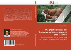 Diagnostic du sexe du f¿tus par échotomographie chez la vache - Tainturier, Benoit;Tainturier, Daniel