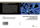 Heterologe Überexpression von Genen zur Acetonproduktion