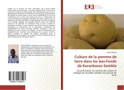 Culture de la pomme de terre dans les bas-Fonds de Karankasso Sambla - BADIEL, Hubert