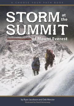 Storm at the Summit of Mount Everest - Jacobson, Ryan; Mercier, Deb