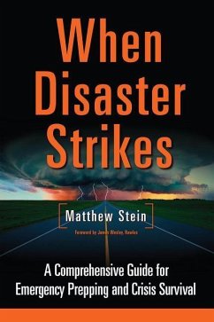 When Disaster Strikes - Stein, Matthew