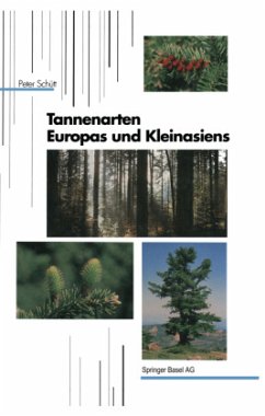 Tannenarten Europas und Kleinasiens (Handbuch der forstlichen Dendrologie) (German Edition)