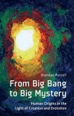 From Big Bang to Big Mystery: Human Origins in the Light of Creation and Evolution