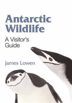 Antarctic Wildlife - Lowen, James