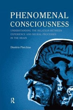 Phenomenal Consciousness - Platchias, Dimitris