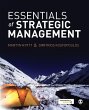 Essentials of Strategic Management - Bild 1