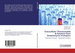 Extracellular Thermostable ¿-Amylase from Streptomyces erumpens - Ray, Ramesh C.;Kar, Shaktimay;Swain, Manas R.