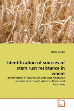 Identification of sources of stem rust resistance in wheat - Denbel, Worku