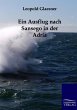 Ein Ausflug nach Sansego in der Adria - Bild 1