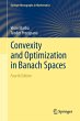 Convexity and Optimization in Banach... - Bild 1