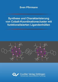 Synthese und Charakterisierung von Cobalt-Koordinationscluster mit funktionalisierten Ligandenhüllen - Pfirrmann, Sven